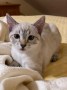 Tilly_Tessi (4)